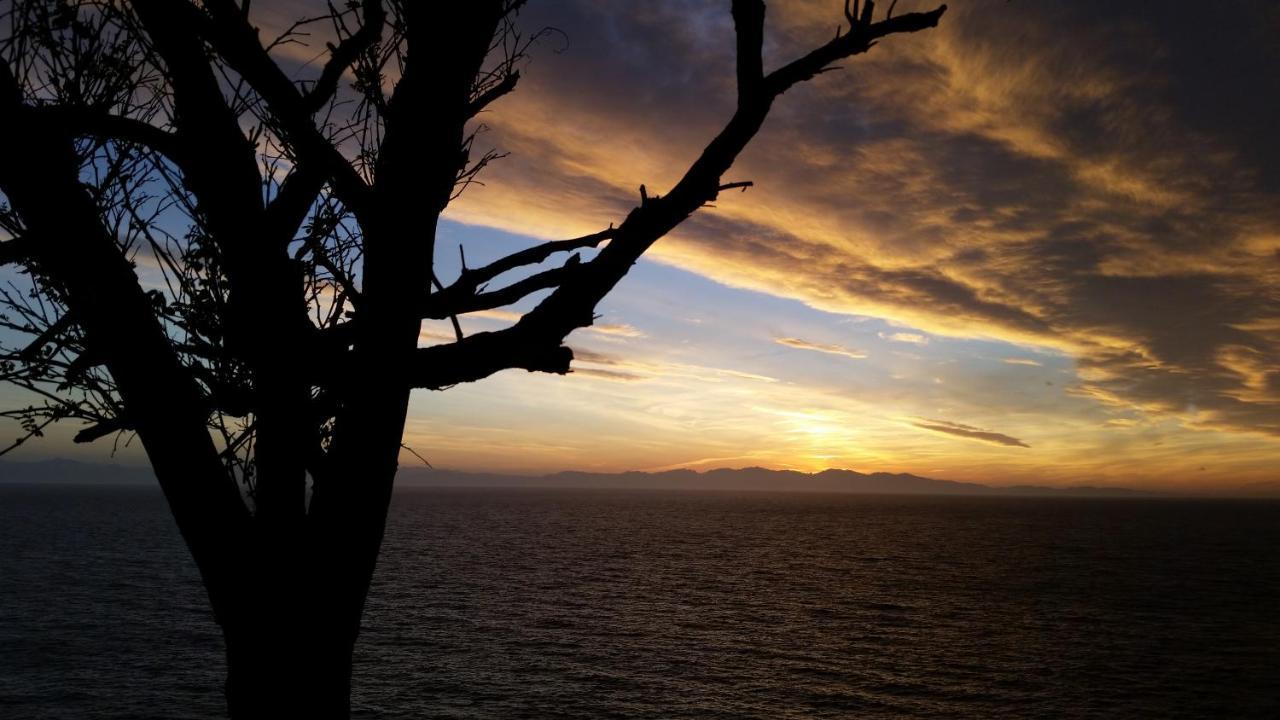Appartamenti - Villa Mare Pomonte Bagian luar foto